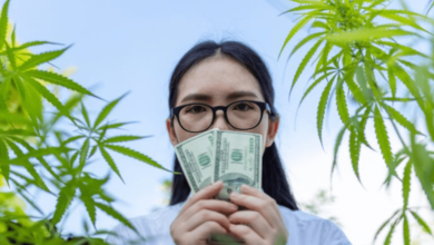 How Old Do You Have to Be to Buy Cbd in Washington