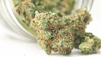 How to Tell if Your Weed Is Cbd