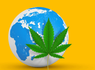 Is Cbd Legal in France 2023