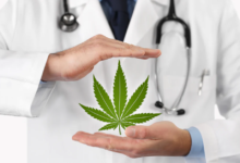 CBD Laws in the U.S.: What You Need to Know