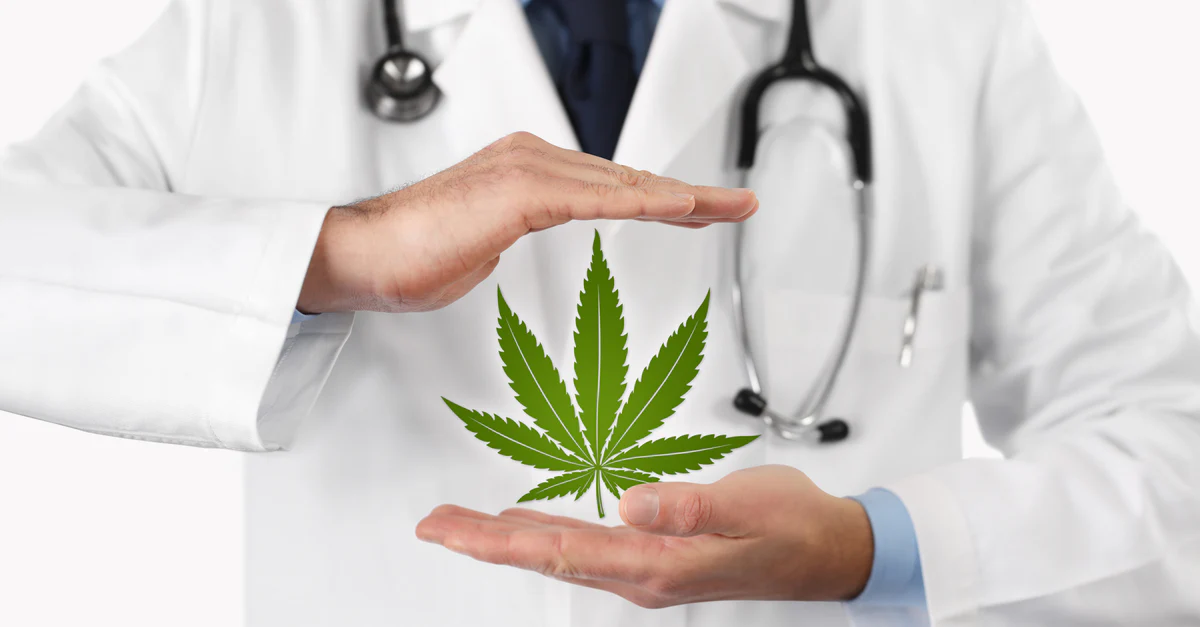 CBD Laws in the U.S.: What You Need to Know