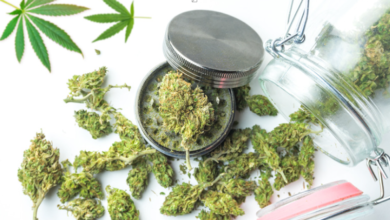 How to Choose the Right Medical Cannabis Dispensary