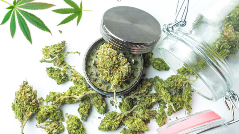How to Choose the Right Medical Cannabis Dispensary