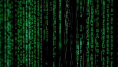 sequential data summary insights