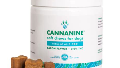 CBD for Dogs Anxiety