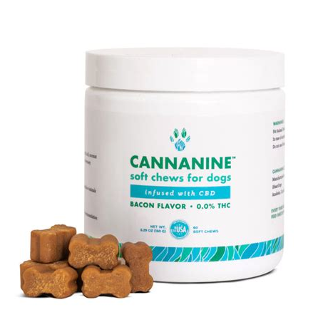 CBD for Dogs Anxiety
